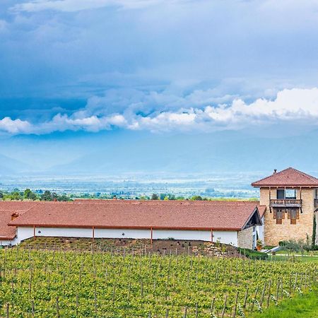 Chateau Mosmieri Hotel & Winery Telawi Exterior foto
